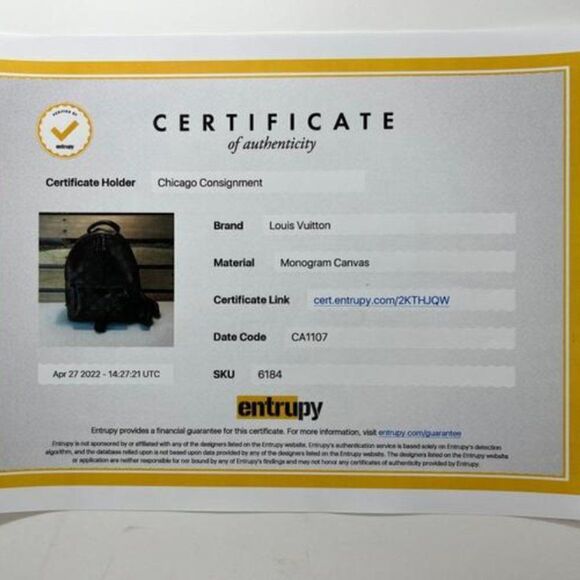 Louis Vuitton Monogram Palm Springs Backpack PM - Picture 13 of 13